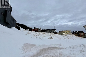 520 Arnica Lane - Photo 13