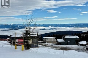 520 Arnica Lane - Photo 3