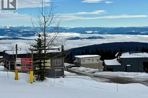 520 Arnica Lane - Photo 4