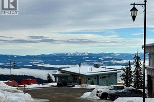 520 Arnica Lane - Photo 8