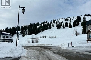 520 Arnica Lane - Photo 9