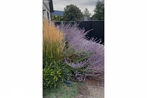 1603 18 Avenue - Photo 66