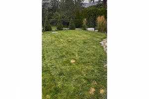 1603 18 Avenue - Photo 69