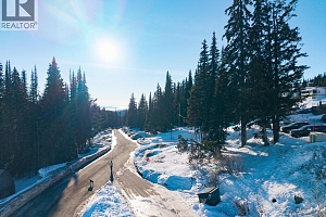 9885 Pinnacles Road Unit# 3 - Photo 29