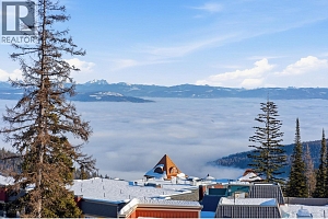 9885 Pinnacles Road Unit# 3 - Photo 3