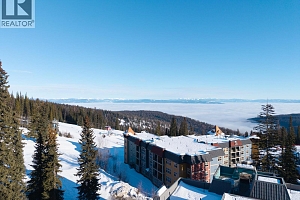 9885 Pinnacles Road Unit# 3 - Photo 30