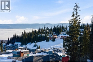 9885 Pinnacles Road Unit# 3 - Photo 32