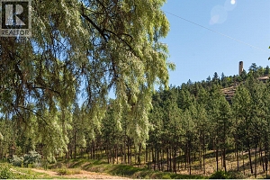 1860 Boucherie Road Unit# 30 - Photo 39