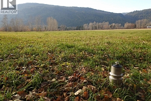 110 Parsons Road - Photo 10