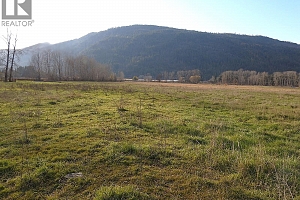 110 Parsons Road - Photo 13