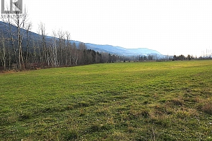 110 Parsons Road - Photo 3