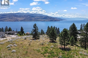 6446 Renfrew Road - Photo 21