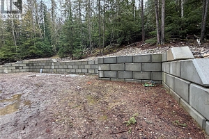 8700 Mabel Lake Road - Photo 10