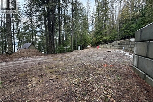 8700 Mabel Lake Road - Photo 11