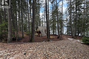 8700 Mabel Lake Road - Photo 12