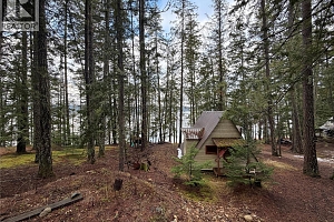 8700 Mabel Lake Road - Photo 16