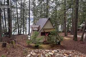 8700 Mabel Lake Road - Photo 2