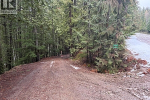 8700 Mabel Lake Road - Photo 3