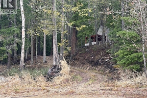 8700 Mabel Lake Road - Photo 30