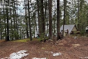 8700 Mabel Lake Road - Photo 6