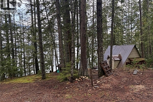 8700 Mabel Lake Road - Photo 7