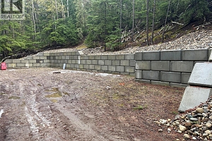 8700 Mabel Lake Road - Photo 8