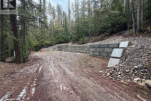 8700 Mabel Lake Road - Photo 9