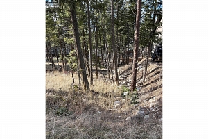 7258 Dunwaters Road Lot# 47 - Photo 7