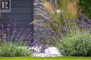 4265 Lakeshore Road - Photo 75