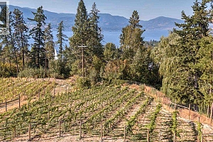 4920 Chute Lake Road - Photo 61