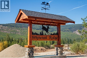 Lot 1 Mary G Road - Photo 5