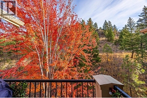 2770 Auburn Road Unit# 307 - Photo 22