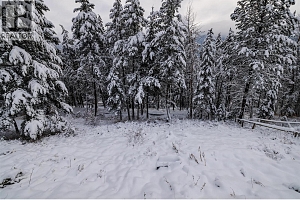 1813 Cardinal Creek Road - Photo 19