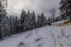 1813 Cardinal Creek Road - Photo 20