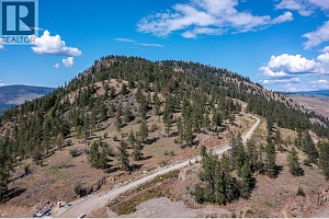 8940 Hampshire Crescent Lot# 19 - Photo 13