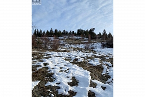 167 Ravine Drive - Photo 12