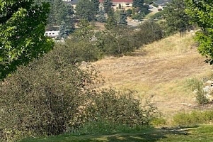 167 Ravine Drive - Photo 9