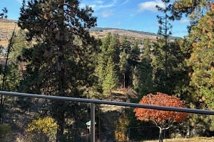 4074 Gellatly Road Unit# 134 - Photo 7