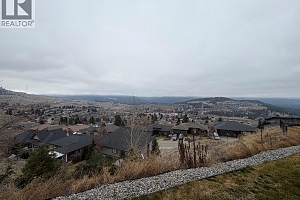 1135 Loseth Drive - Photo 51