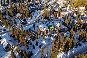 4899 Snowpines Road Unit# D - Photo 27