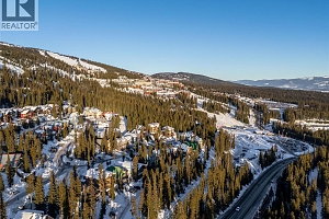 4899 Snowpines Road Unit# D - Photo 28