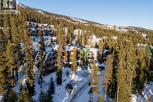 4899 Snowpines Road Unit# D - Photo 29