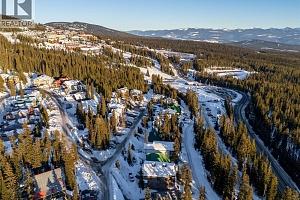 4899 Snowpines Road Unit# D - Photo 30