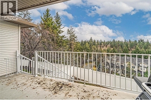 3819 Glen Canyon Drive - Photo 45