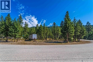 33 Pringle Road - Photo 14