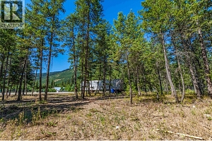 33 Pringle Road - Photo 16