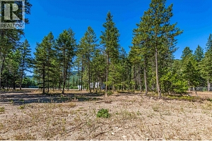 33 Pringle Road - Photo 17