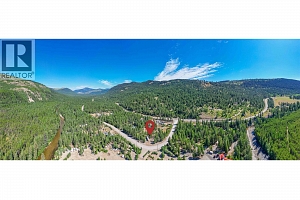 33 Pringle Road - Photo 23