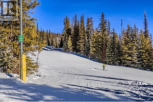 5946 Snow Pines Crescent Unit# A - Photo 46