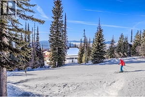 5946 Snow Pines Crescent Unit# A - Photo 47